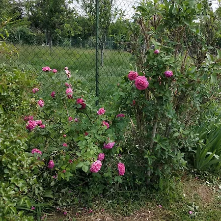 Prázdninový dům Les Papillons *