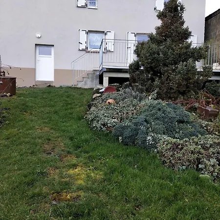 Les Papillons * Bining