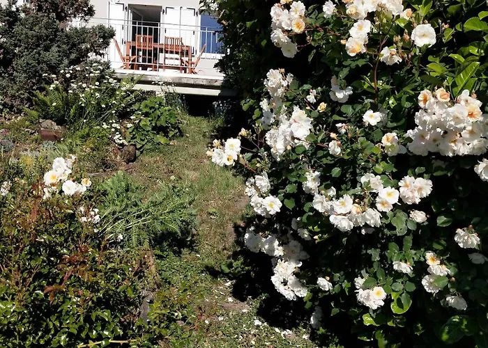 Дом отдыха Les Papillons Bining