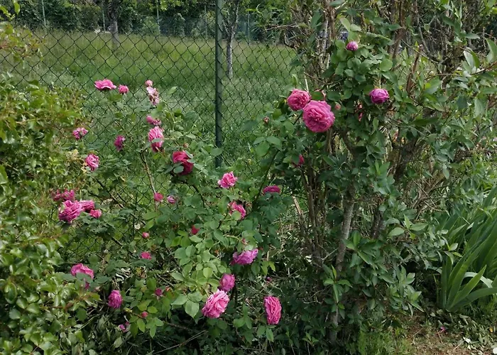 Дом отдыха Les Papillons *