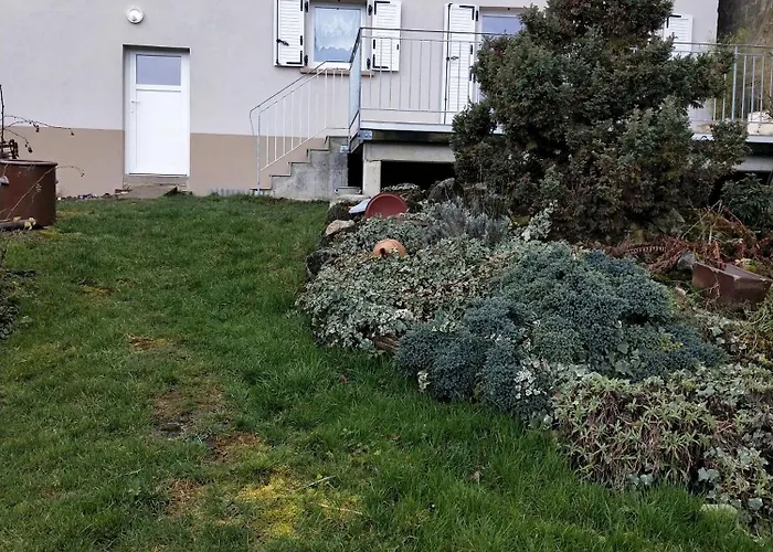 Les Papillons * Bining